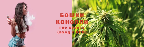 прущие грибы Белоозёрский