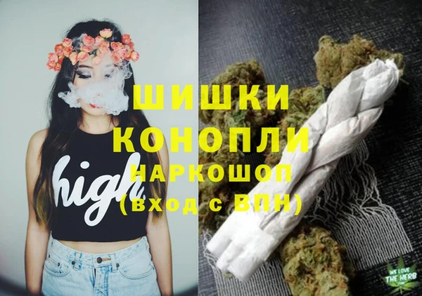 прущие грибы Белоозёрский