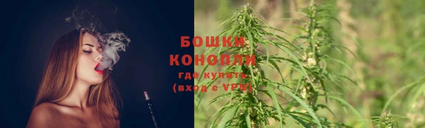 гидропоника Белокуриха