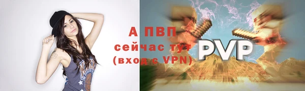гидропоника Белокуриха