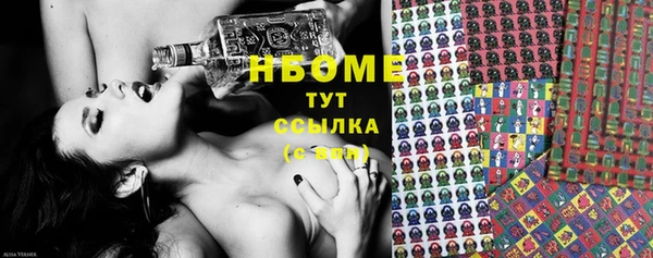 прущие грибы Белоозёрский