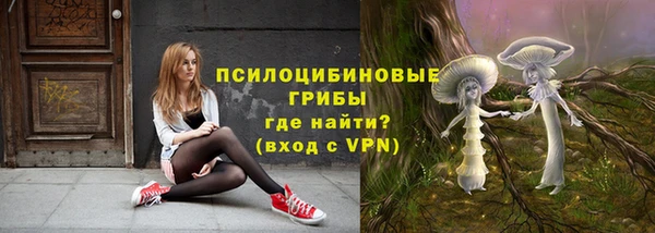прущие грибы Белоозёрский