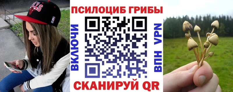 как найти закладки  Горнозаводск  Псилоцибиновые грибы прущие грибы 